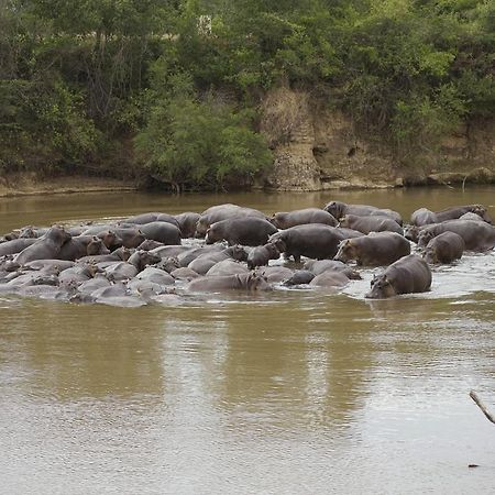 Ngerende Island Lodge (Adults Only) Maasai Mara Exteriör bild